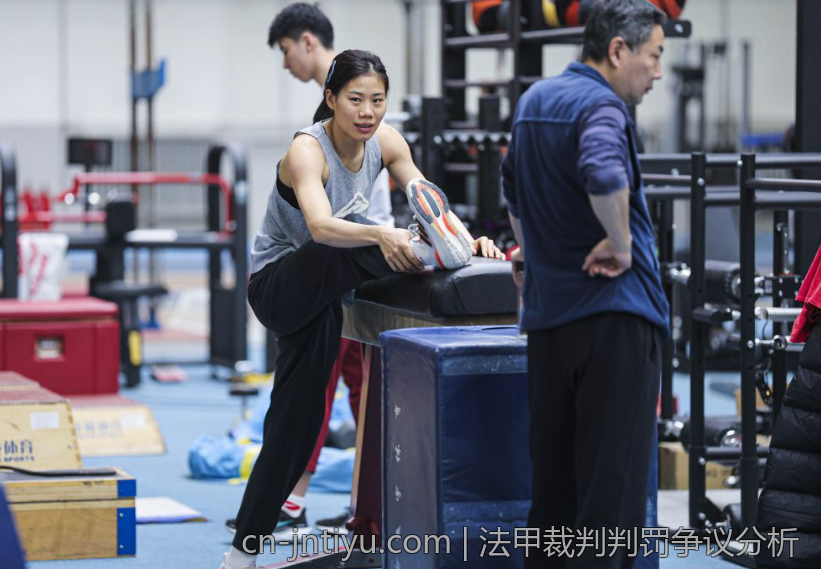 法甲裁判判罚争议分析